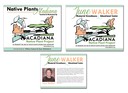 Acadiana Native Plant Project - June Walker Greenhouse Signs
