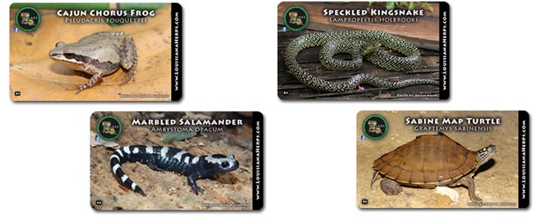 LARE Collectible Magnets