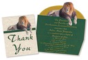 Southeastern Louisiana University Announcements & Matching Thank You Cards